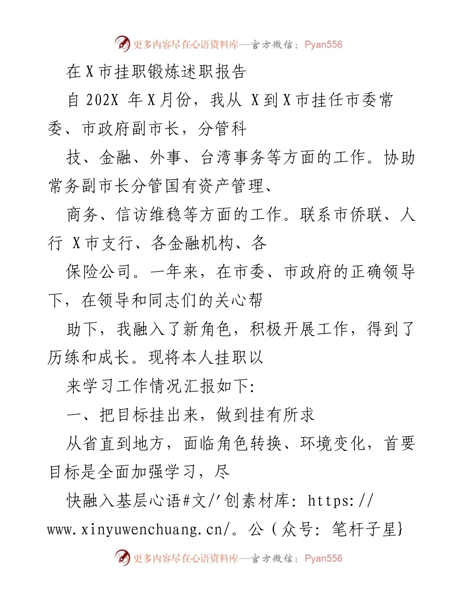 [发言] 挂职锻炼总结 - X市挂职锻炼述职报告总结与反思.docx_第1页