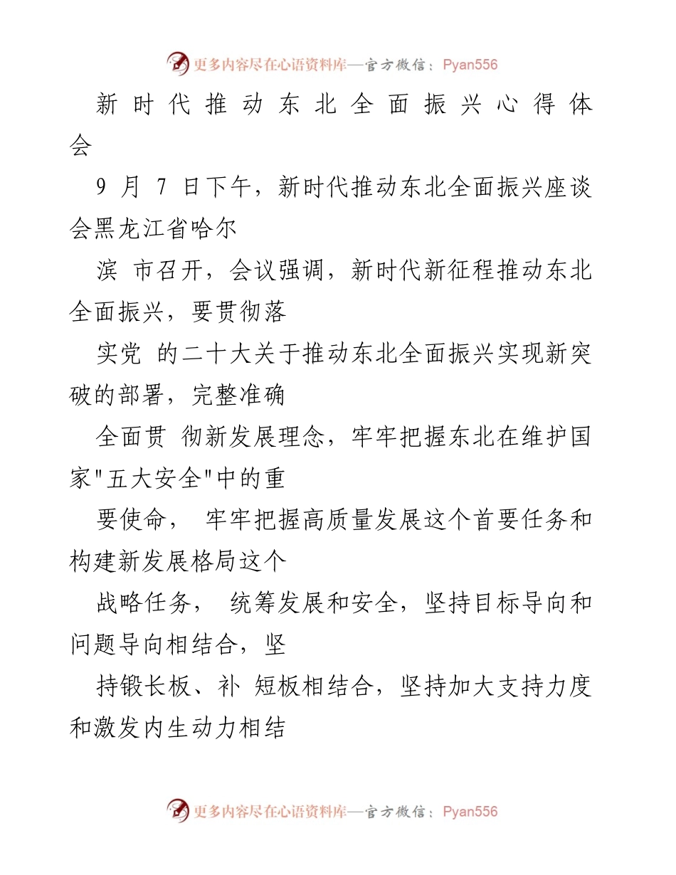 [发言] 座谈会 - 新时代推动东北全面振兴的战略思考与实践路径.docx_第1页