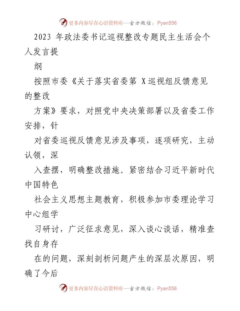 [发言] 政法委书记巡视整改专题民主生活会 - 深入查摆问题，落实整改措施.docx_第1页
