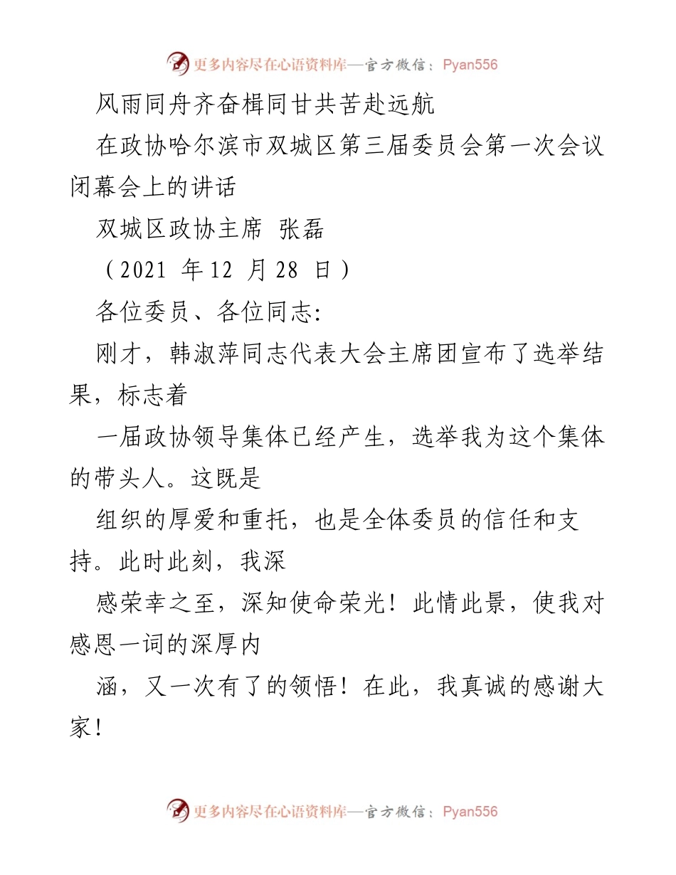 [发言] 政协闭幕会 - 风雨同舟，共创双城美好未来.docx_第1页