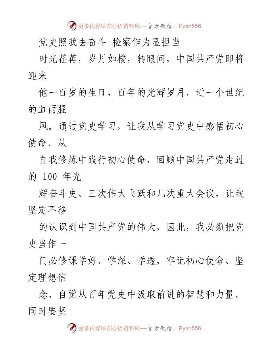 [发言] 建党百年庆祝活动 - 党史引领检察担当，践行初心使命.docx_第1页