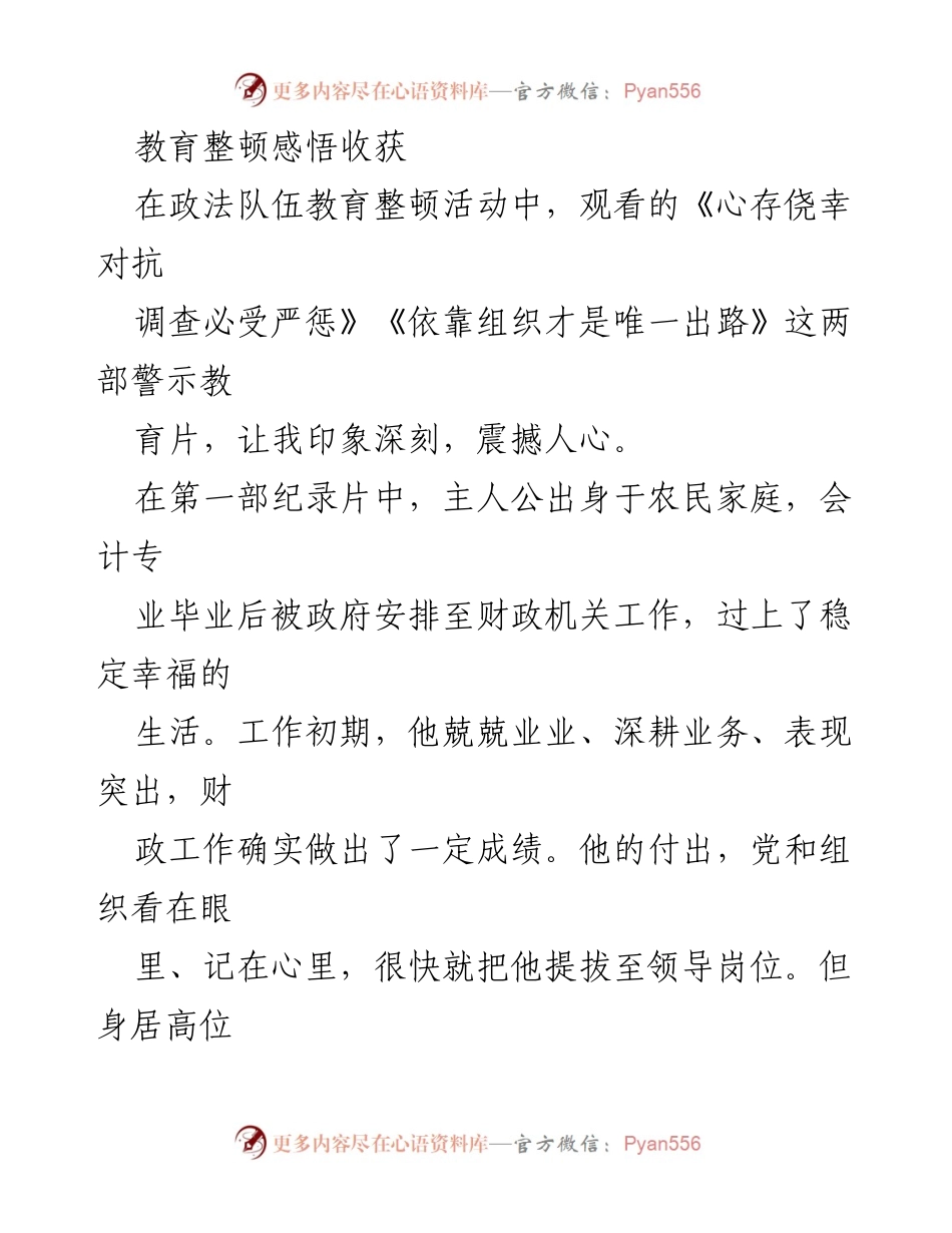 [发言] 政法队伍教育整顿活动 - 教育整顿中的警示与反思.docx_第1页