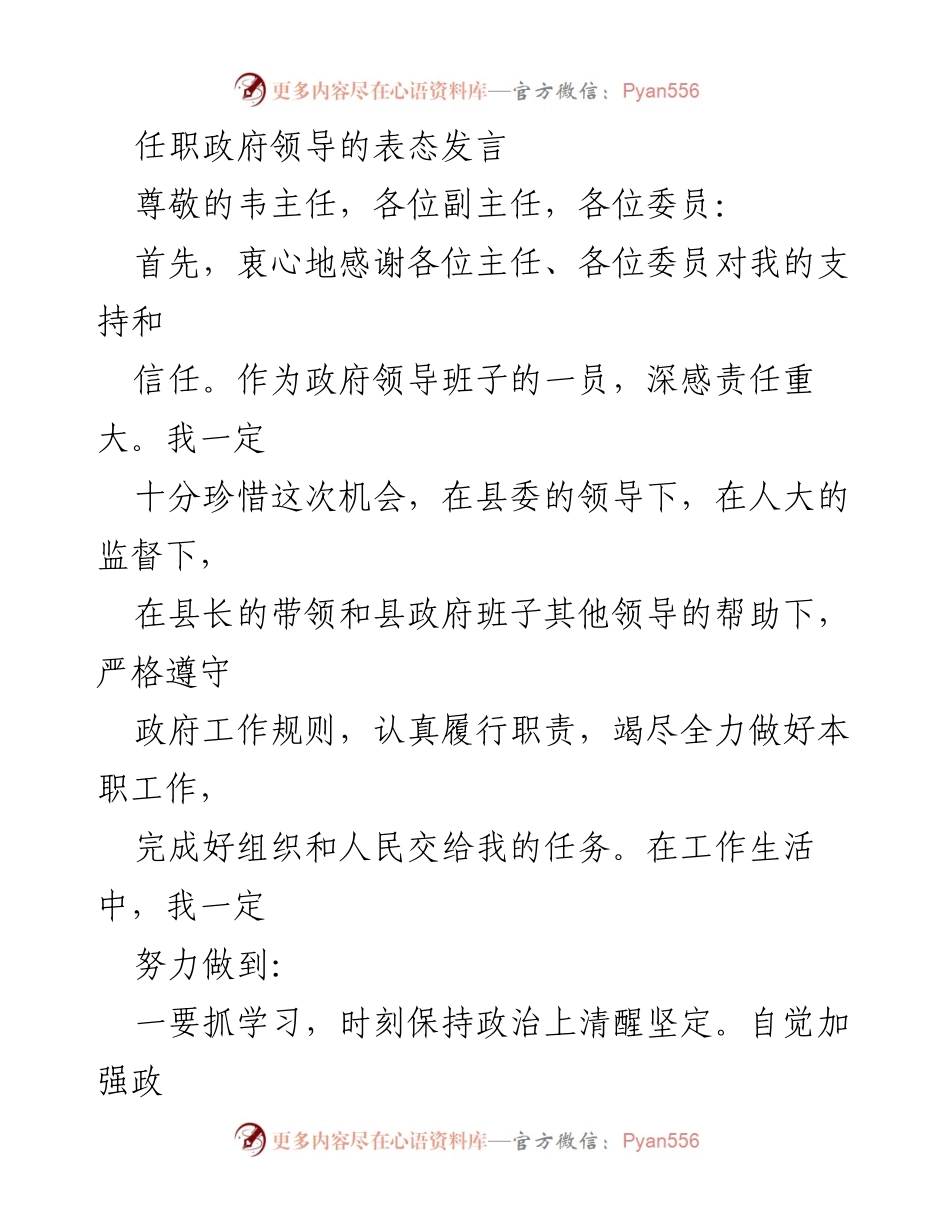 [发言] 政府领导任职表态 - 牢记责任，务实担当，努力做好本职工作.docx_第1页