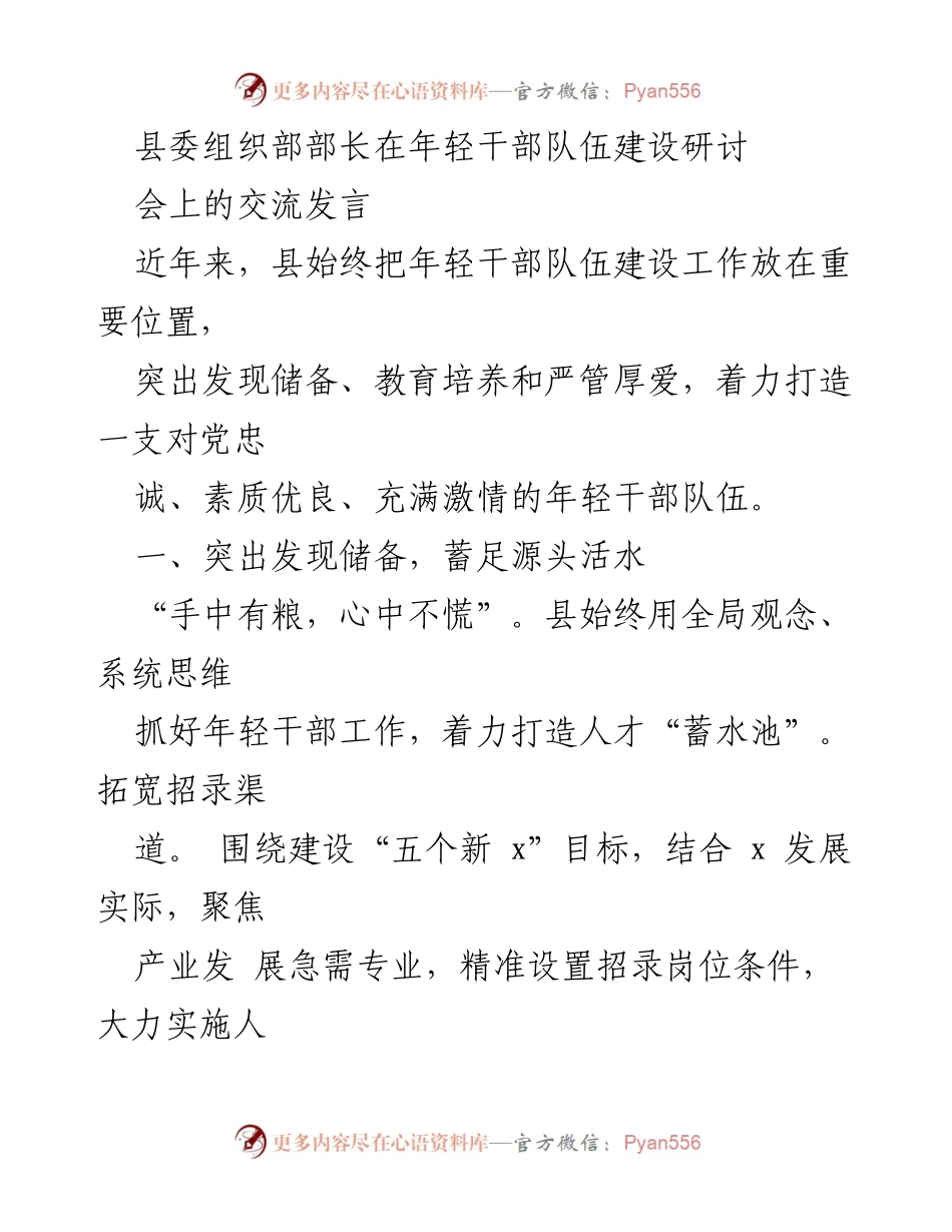 [发言] 年轻干部队伍建设研讨会 - 加强年轻干部队伍建设的实践与思考.docx_第1页