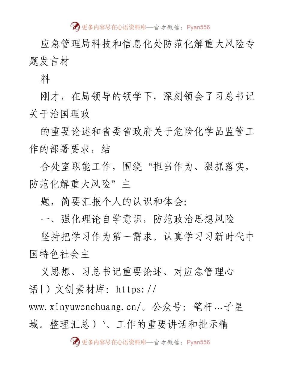 [发言] 应急管理局会议 - 防范化解重大风险的理论与实践探讨.docx_第1页