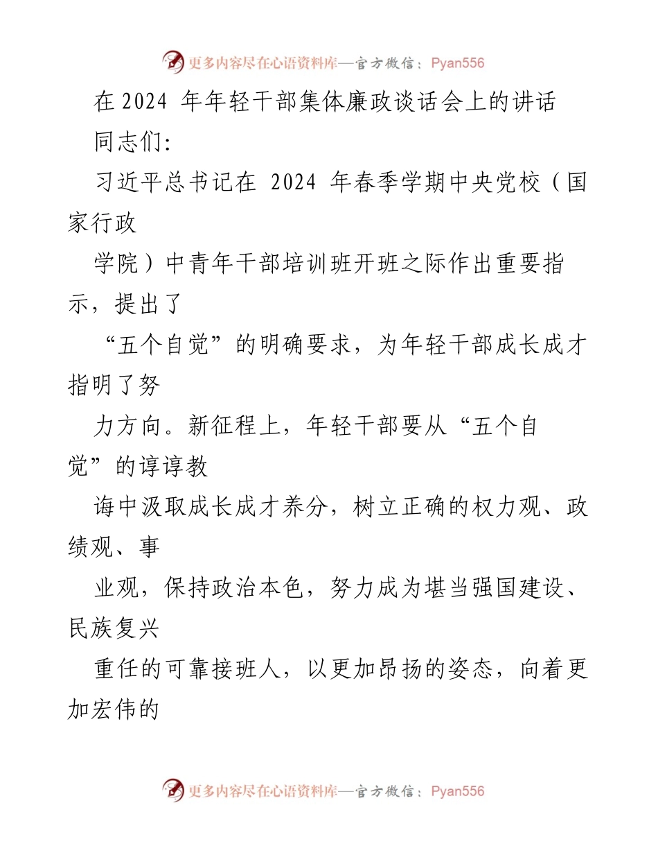 [发言] 年轻干部集体廉政谈话会 - 强调年轻干部的权力观与政绩观.docx_第1页