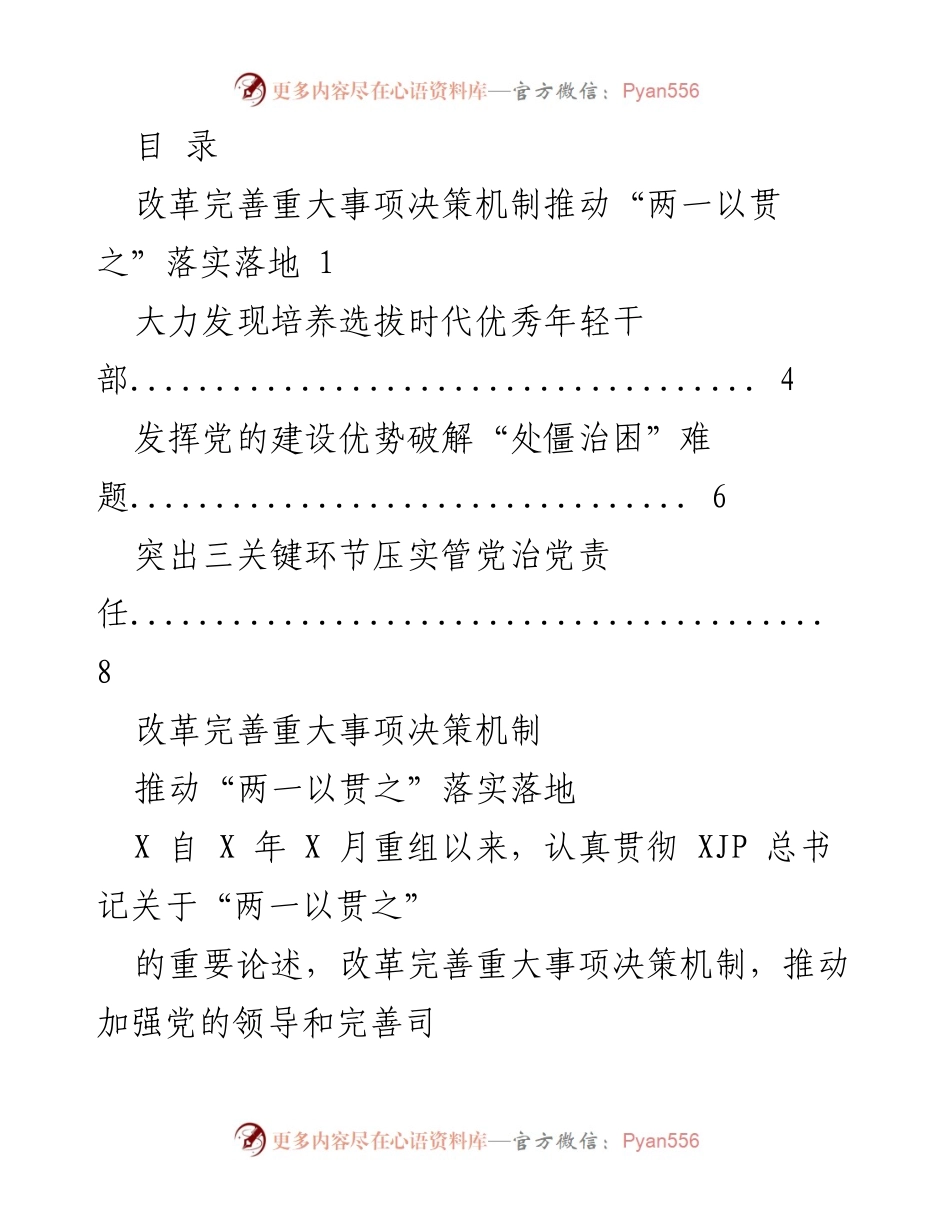 [发言] 推动重大事项决策机制改革，落实“两一以贯之”理念.docx_第1页