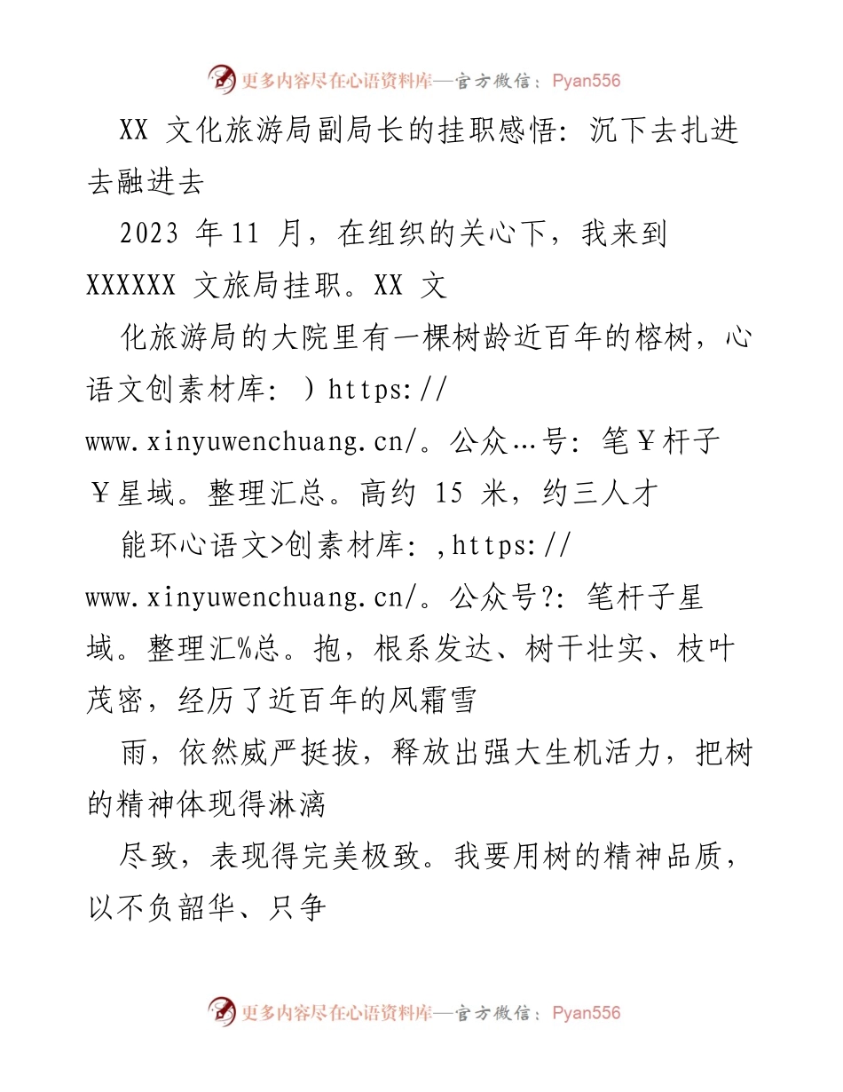 [发言] 挂职感悟分享 - 深入融入：文化旅游局副局长的挂职体验与思考.docx_第1页