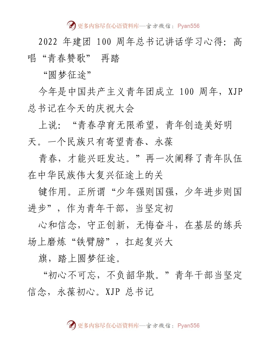 [发言] 建团百年庆祝大会 - 青年干部的奋斗使命与责任.docx_第1页