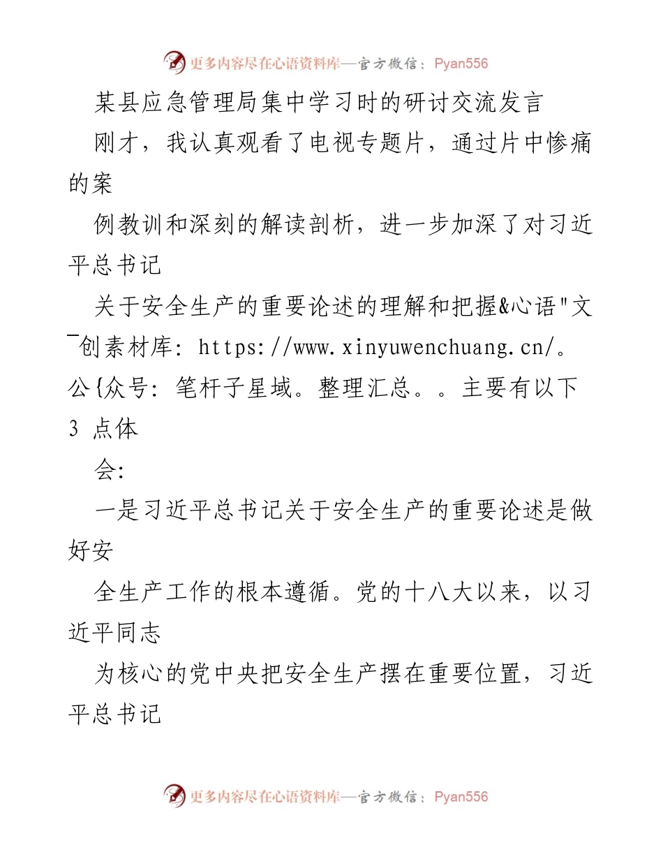 [发言] 应急管理局集中学习研讨 - 深化理解习近平总书记安全生产论述的重要性.docx_第1页