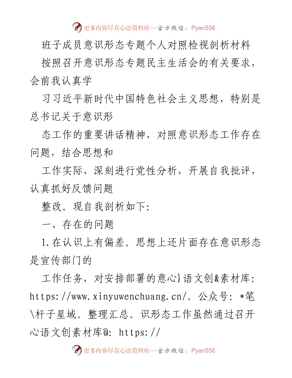 [发言] 意识形态专题民主生活会 - 班子成员意识形态工作自我剖析与整改建议.docx_第1页