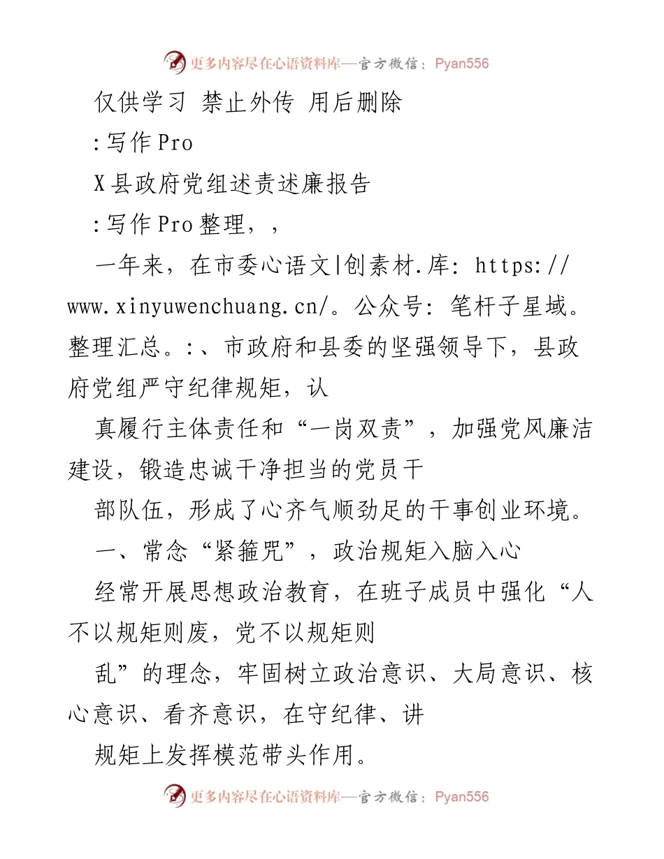 [发言] 政府工作会议 - X县政府党组述责述廉报告.docx_第1页