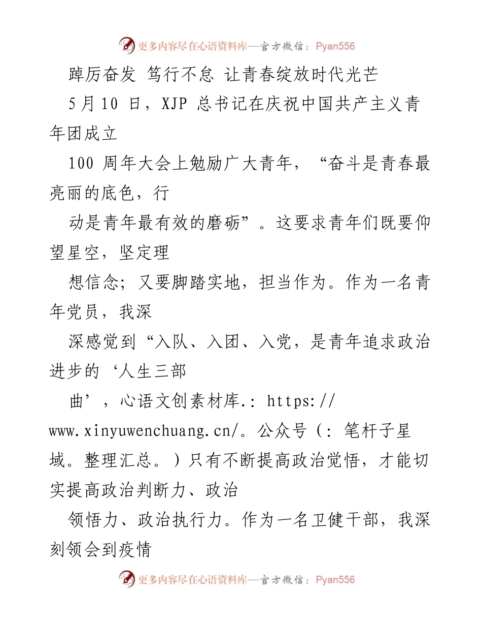 [发言] 庆祝大会 - 青年党员的使命与担当.docx_第1页