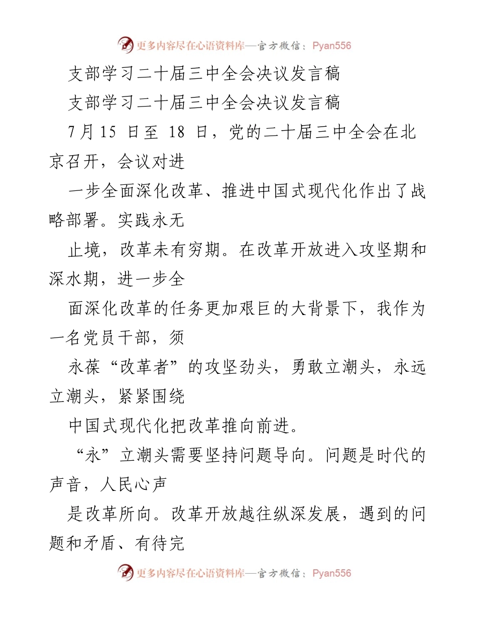 [发言] 支部学习 - 深化改革，勇立潮头：学习二十届三中全会决议发言稿.docx_第1页