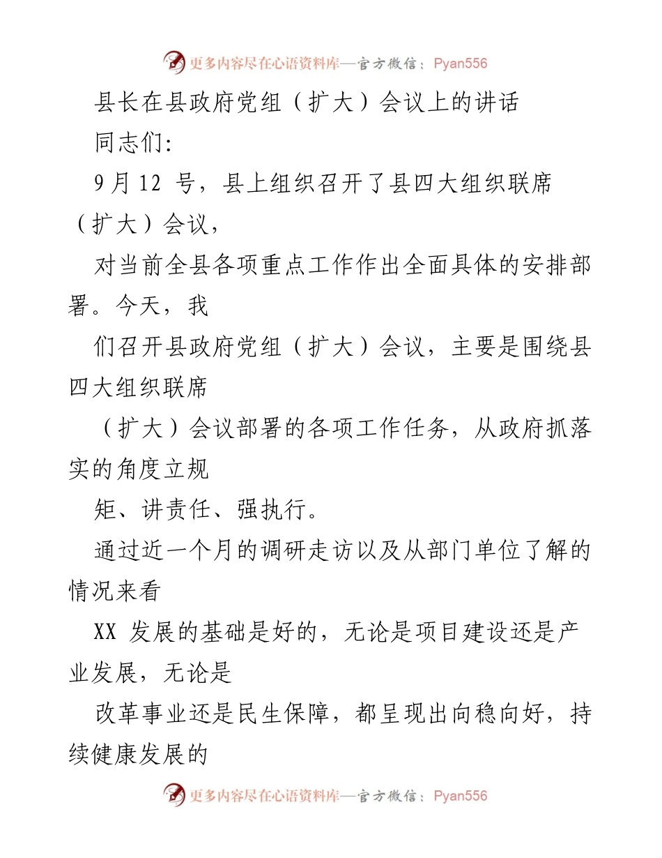 [发言] 政府党组会议 - 强化执行力，提升干部作风.docx_第1页