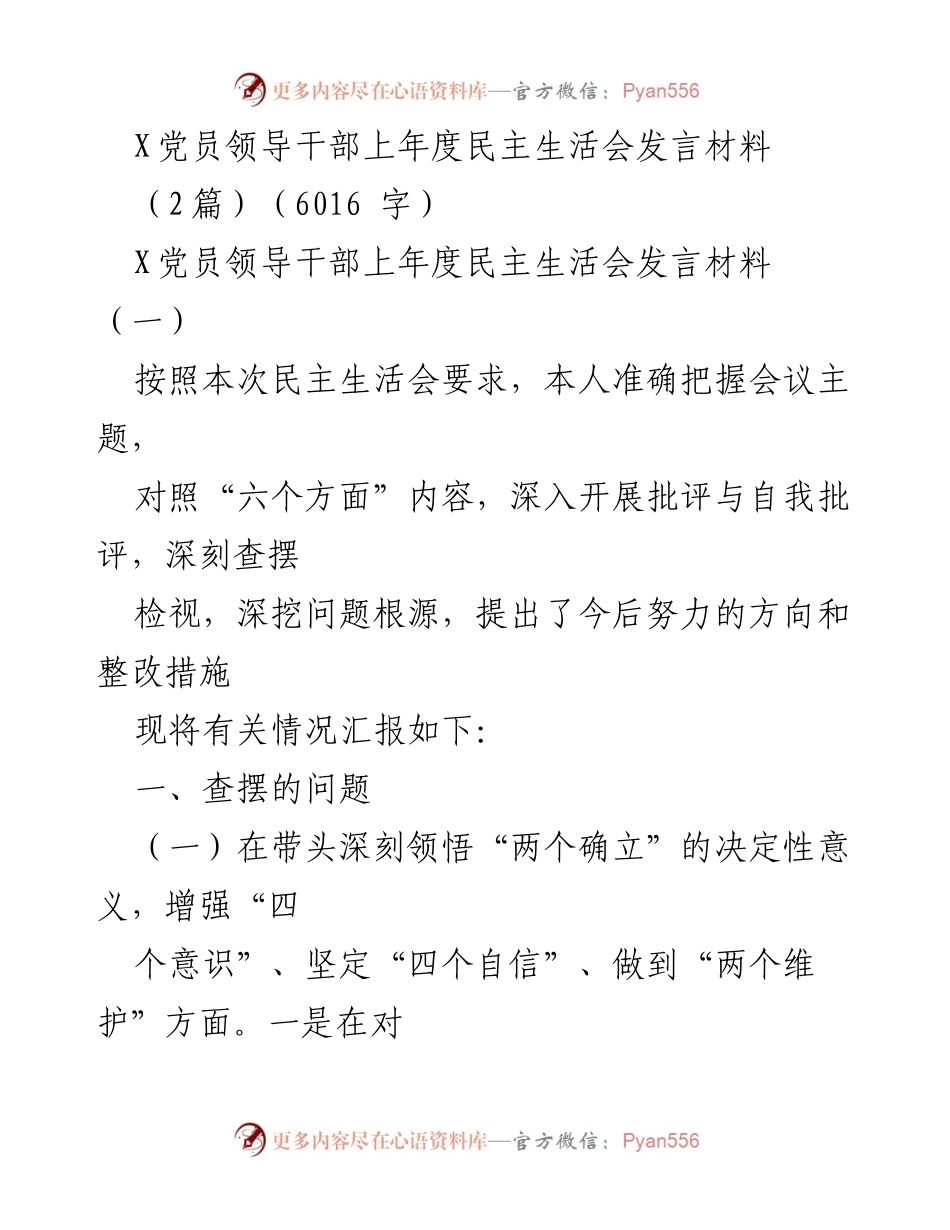 [发言] 民主生活会 - X党员领导干部上年度民主生活会发言材料总结与反思.docx_第1页