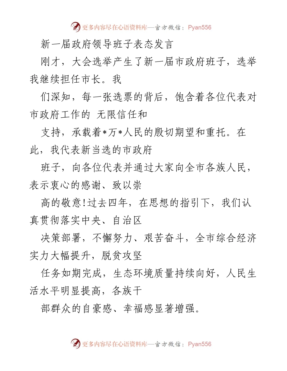 [发言] 新一届市政府班子成立大会 - 新市长的工作承诺与发展愿景.docx_第1页