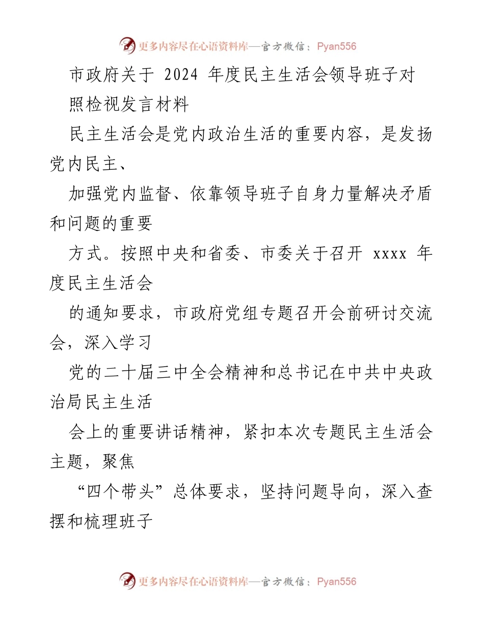 [发言] 民主生活会 - 市政府领导班子2024年度民主生活会对照检视发言材料.docx_第1页