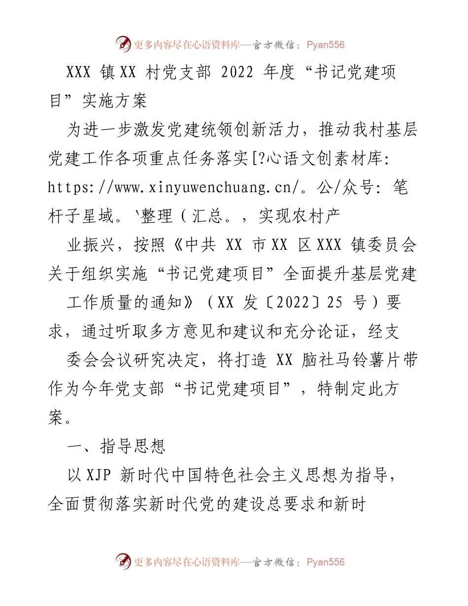 [发言] 村党支部会议 - 2022年度“书记党建项目”实施方案解读.docx_第1页