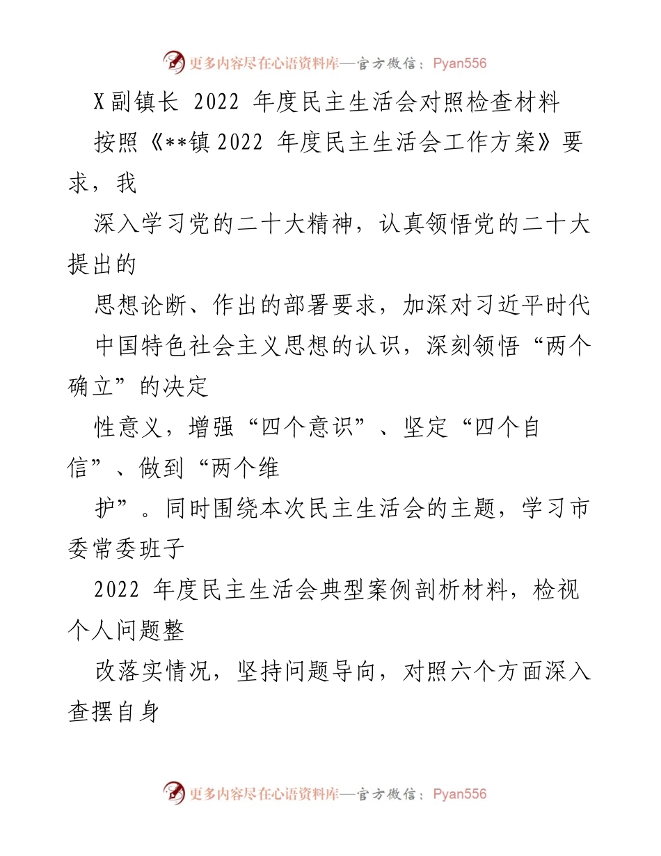 [发言] 民主生活会 - X副镇长2022年度民主生活会对照检查材料总结.docx_第1页