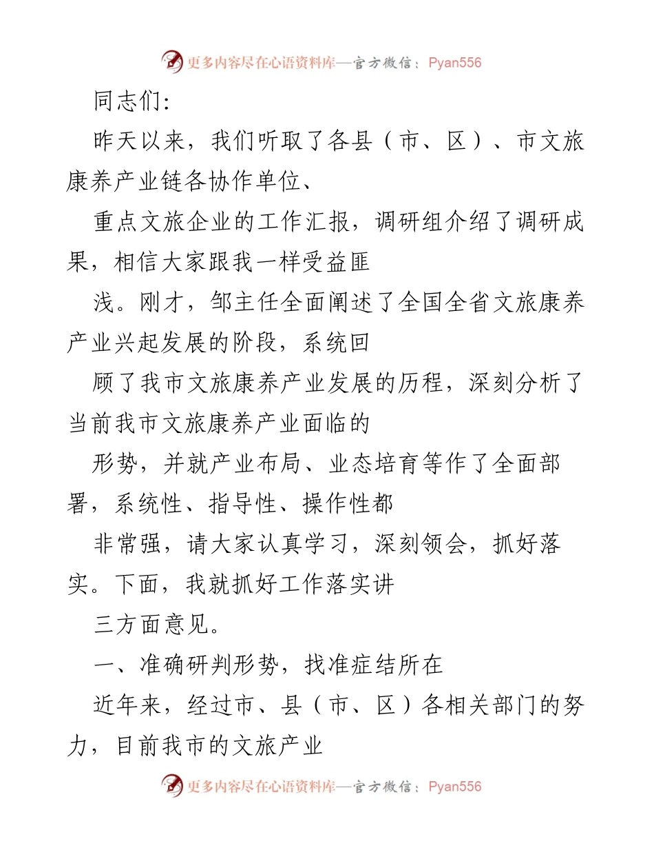 [发言] 文旅康养产业发展会议 - 加强文旅康养产业发展，抓好工作落实的三点意见.docx_第1页