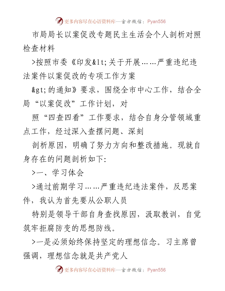 [发言] 民主生活会 - 市局局长以案促改专题民主生活会个人剖析与整改措施.docx_第1页