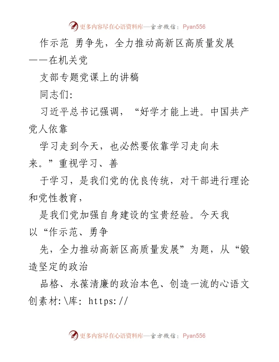 [发言] 机关党支部专题党课 - 作示范、勇争先，全力推动高新区高质量发展.docx_第1页