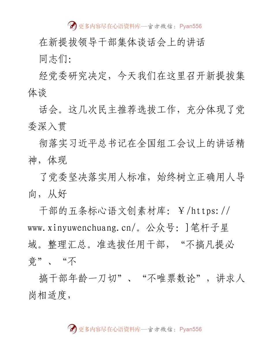 [发言] 新提拔领导干部集体谈话会 - 新提拔干部的忠诚与担当.docx_第1页