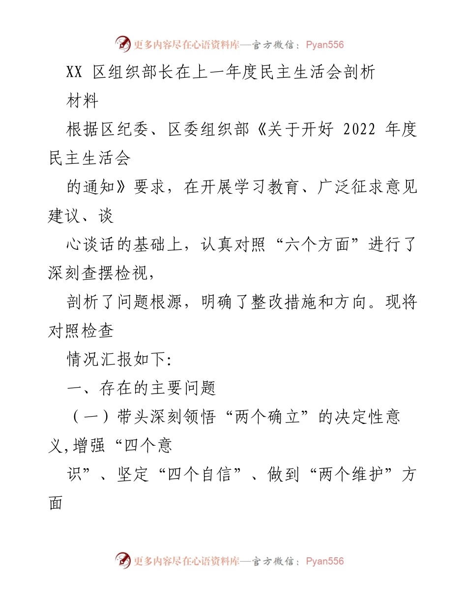 [发言] 民主生活会 - XX区组织部长年度民主生活会问题剖析与整改措施.docx_第1页