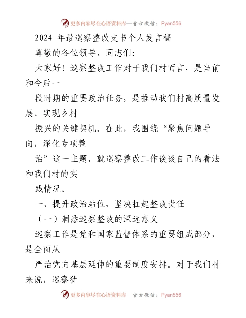 [发言] 村支书巡察整改工作会议 - 加强巡察整改，推动乡村振兴.docx_第1页