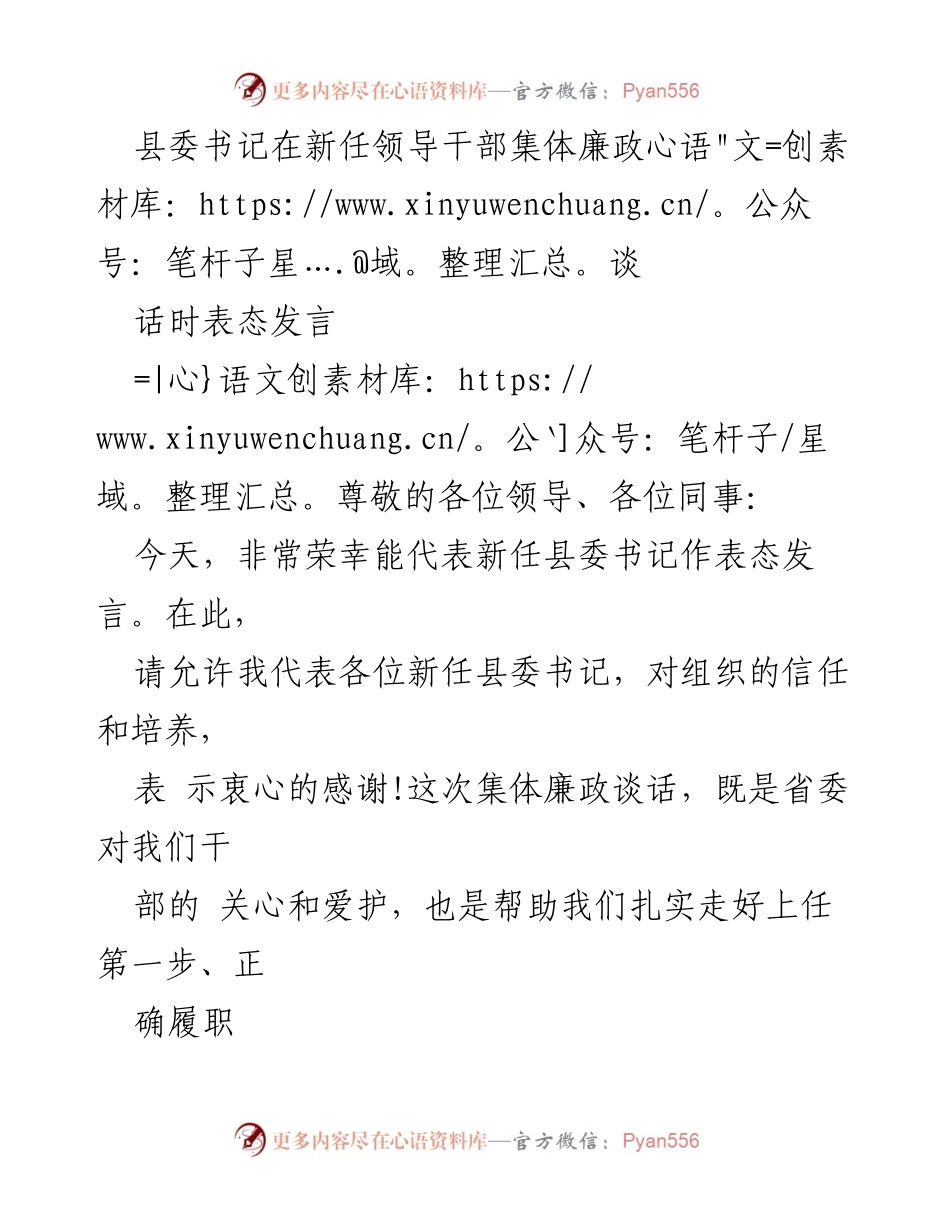 [发言] 新任领导干部集体廉政谈话 - 新任县委书记的廉政承诺与责任担当_1.docx_第1页
