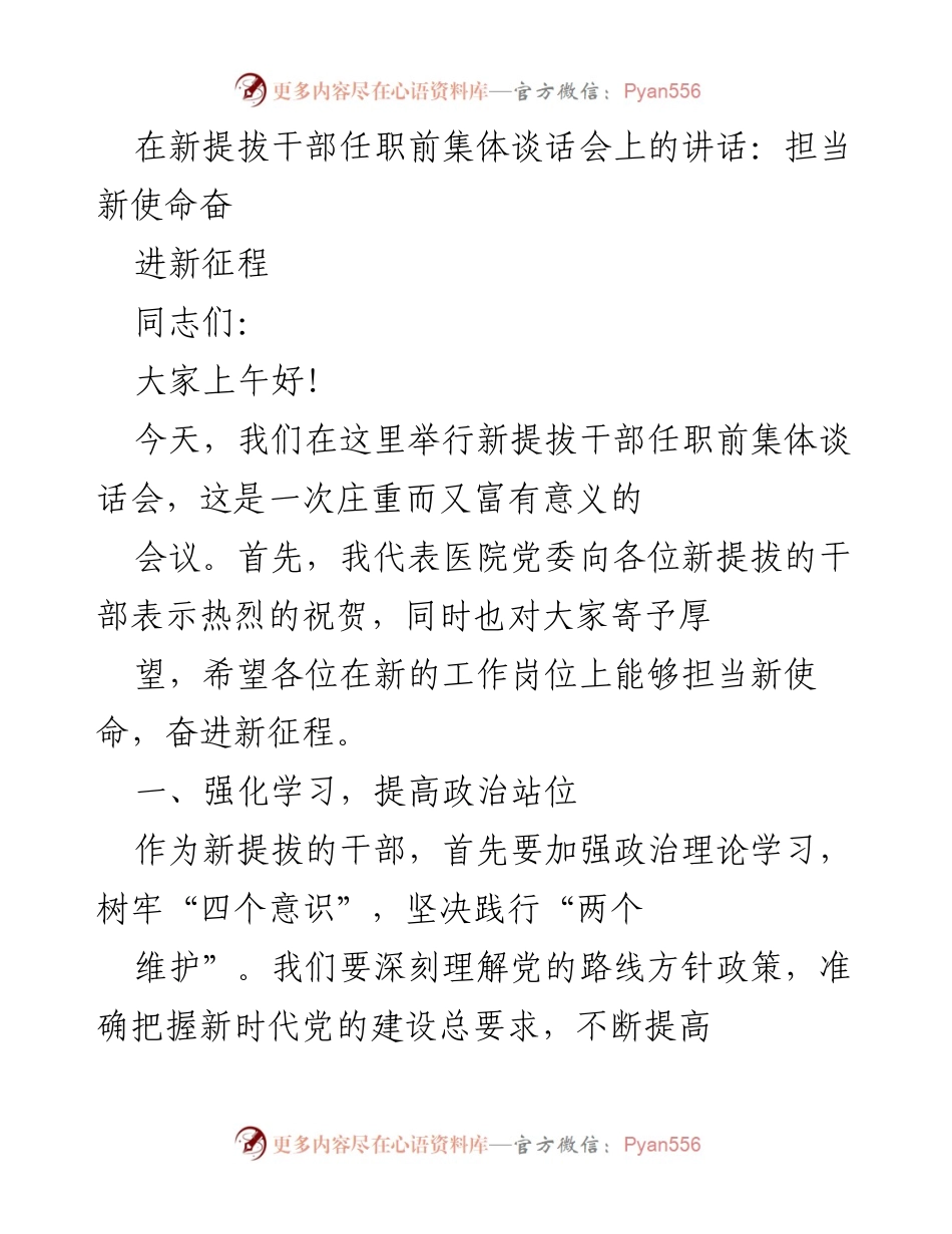 [发言] 新提拔干部任职前集体谈话会 - 担当新使命，奋进新征程.docx_第1页
