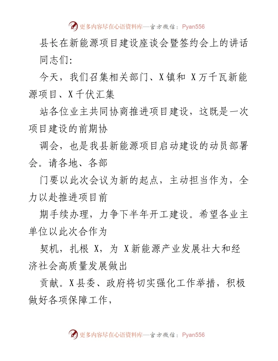[发言] 新能源项目建设座谈会 - 加快推进新能源产业发展的信心与策略.docx_第1页