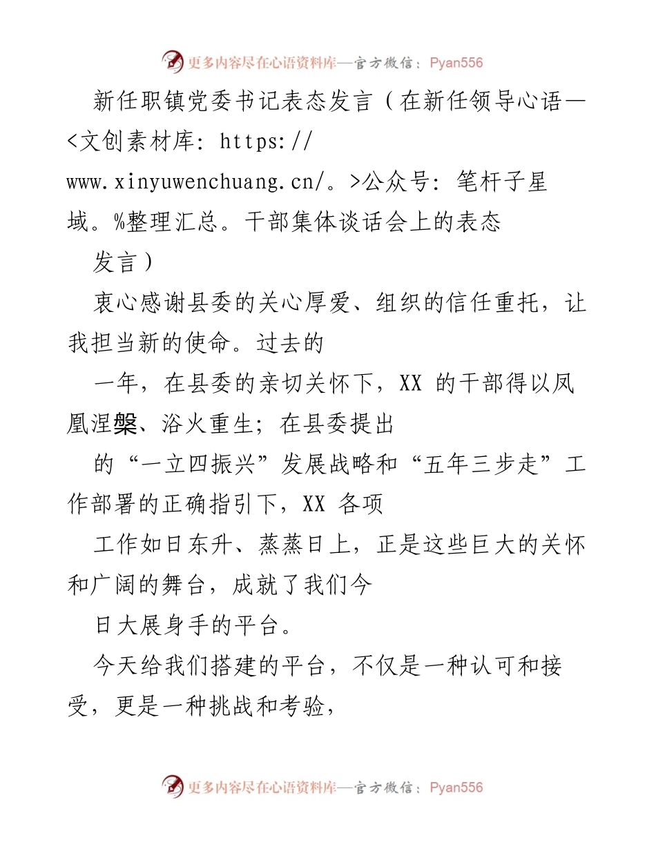 [发言] 新任领导干部集体谈话会 - 新任党委书记表态发言：承诺担当与奋斗.docx_第1页