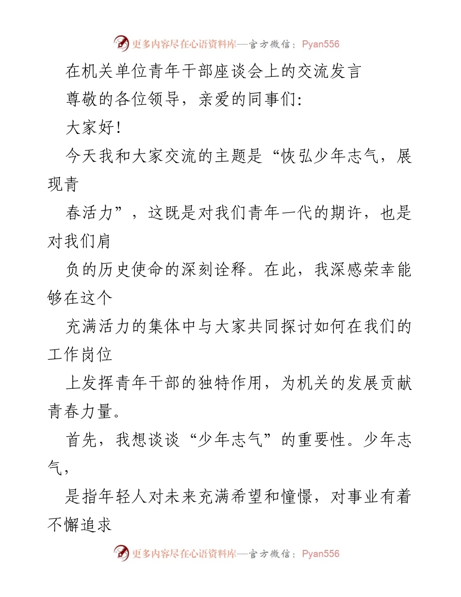 [发言] 机关单位青年干部座谈会 - 青年干部的使命与担当.docx_第1页