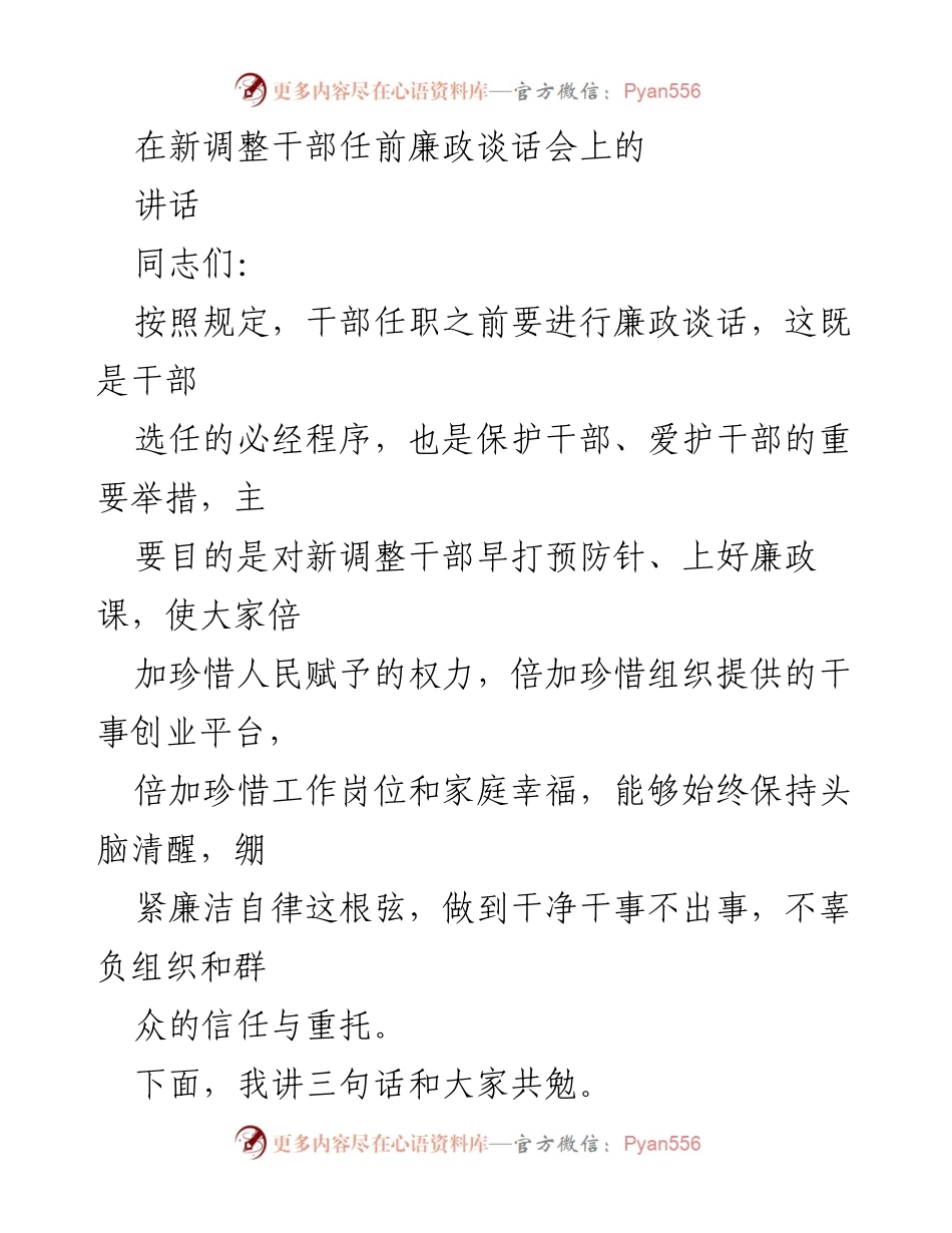 [发言] 新调整干部任前廉政谈话会 - 廉政自律与执政能力提升的三点建议.docx_第1页