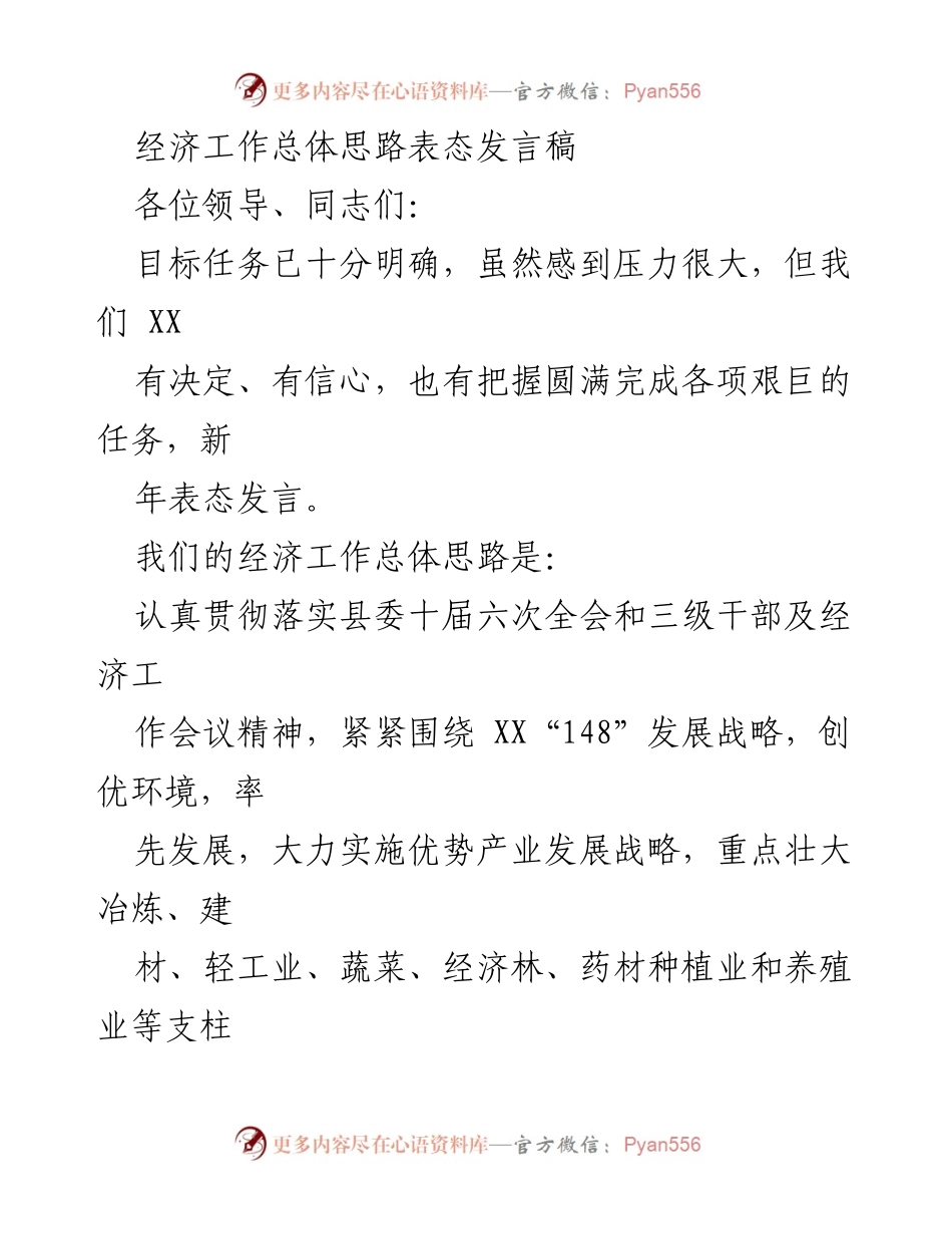 [发言] 新年经济工作会议 - 新年经济工作总体思路表态发言稿.docx_第1页