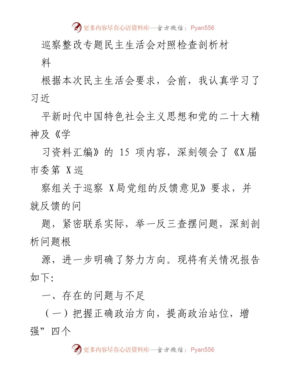 [发言] 民主生活会 - 巡察整改专题民主生活会对照检查剖析材料.docx_第1页