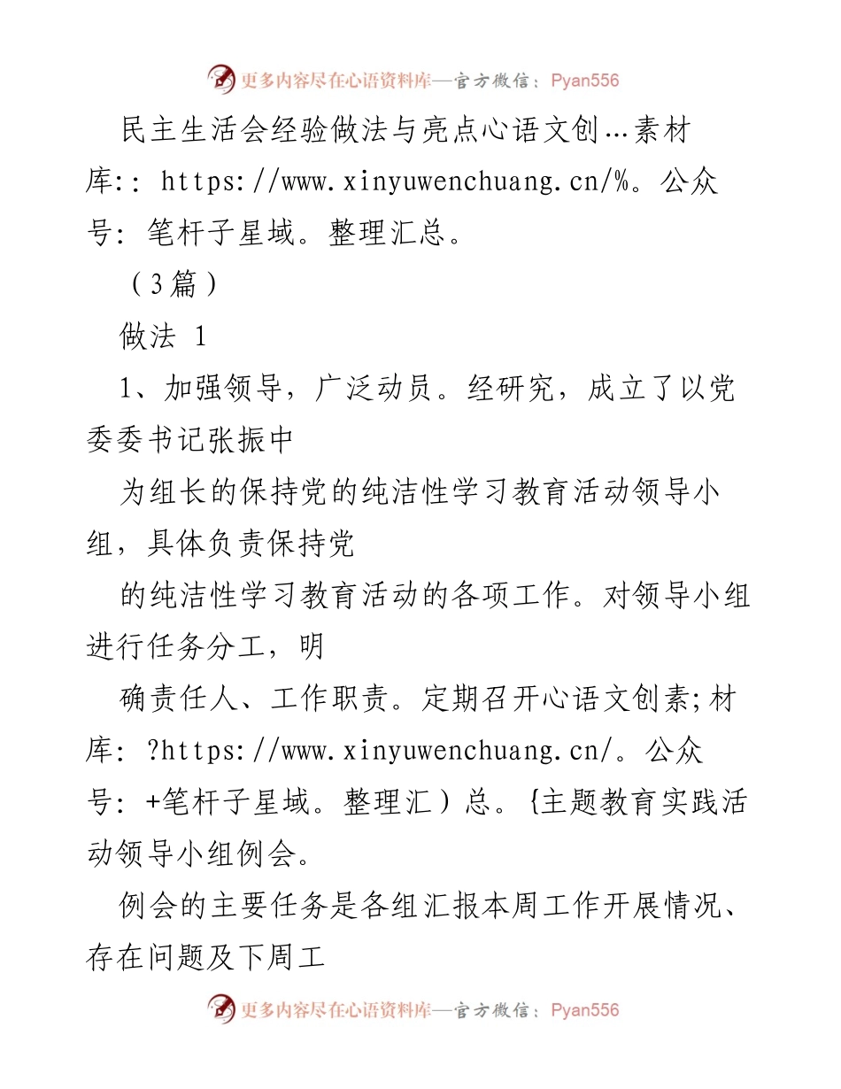 [发言] 民主生活会 - 加强党的纯洁性：经验分享与实施亮点.docx_第1页