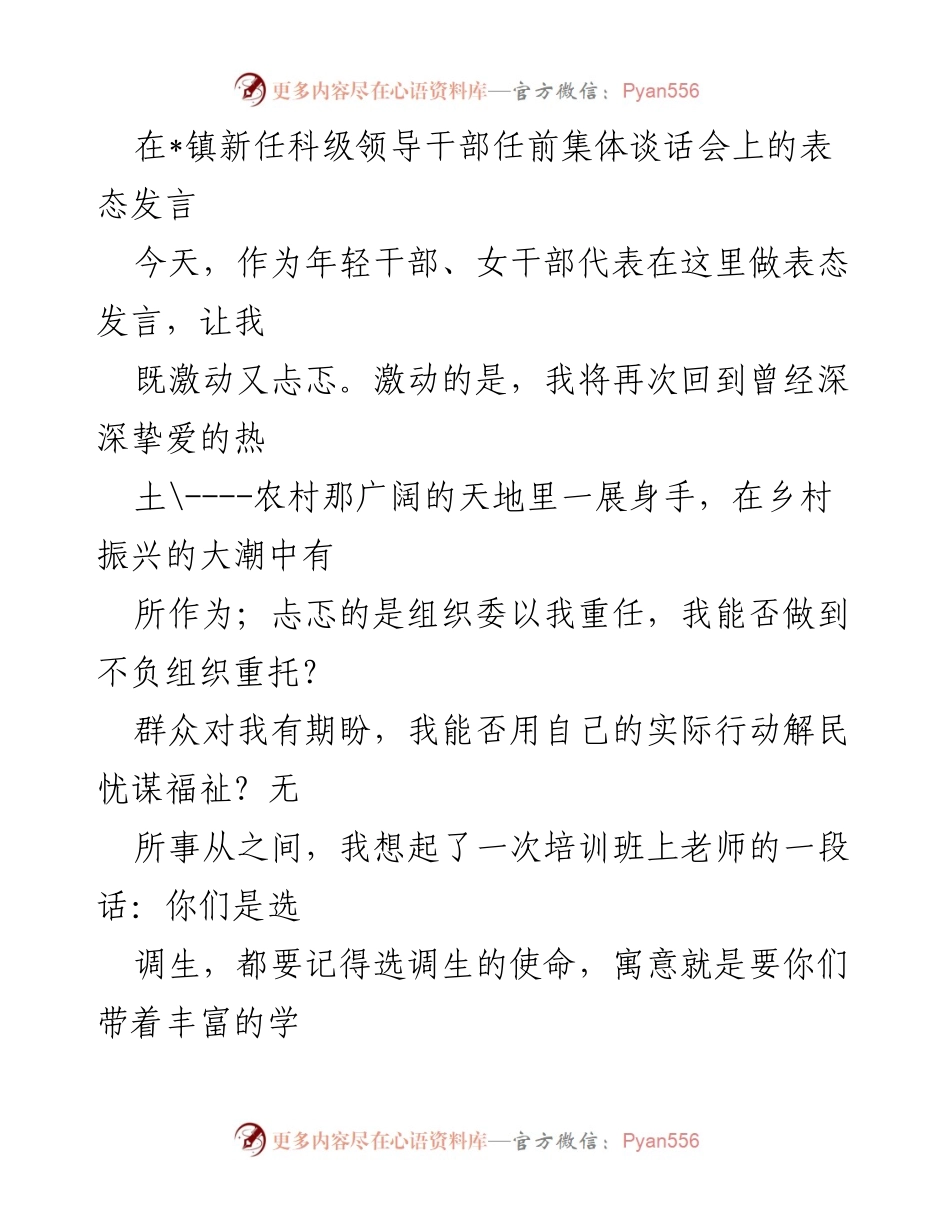 [发言] 新任科级领导干部任前集体谈话会 - 年轻干部的使命与担当.docx_第1页