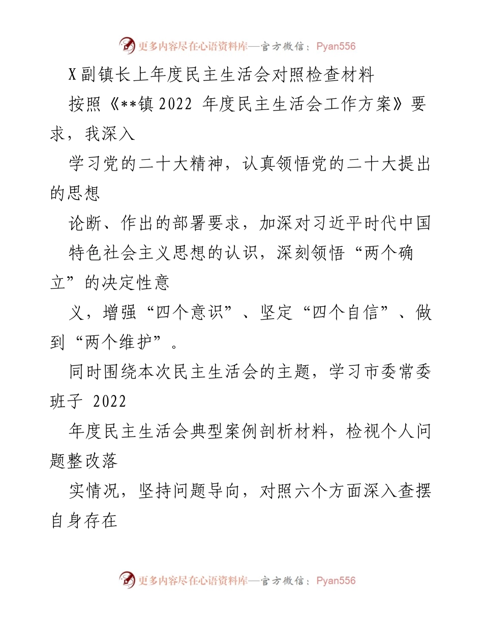 [发言] 民主生活会 - X副镇长年度对照检查与整改措施总结.docx_第1页