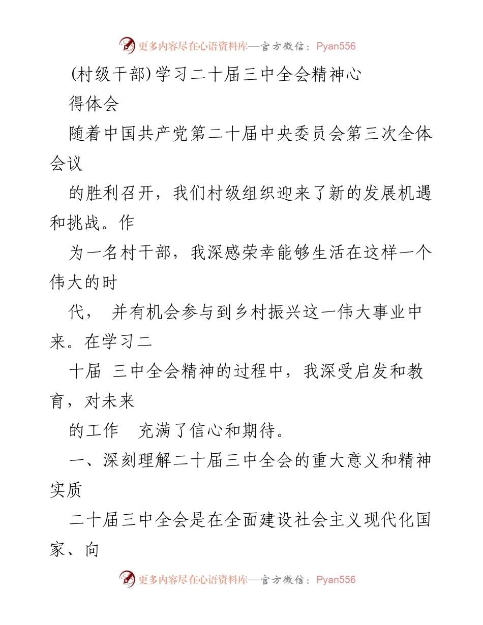 [发言] 村级干部学习会 - 深刻理解二十届三中全会精神，提升村干部使命感.docx_第1页