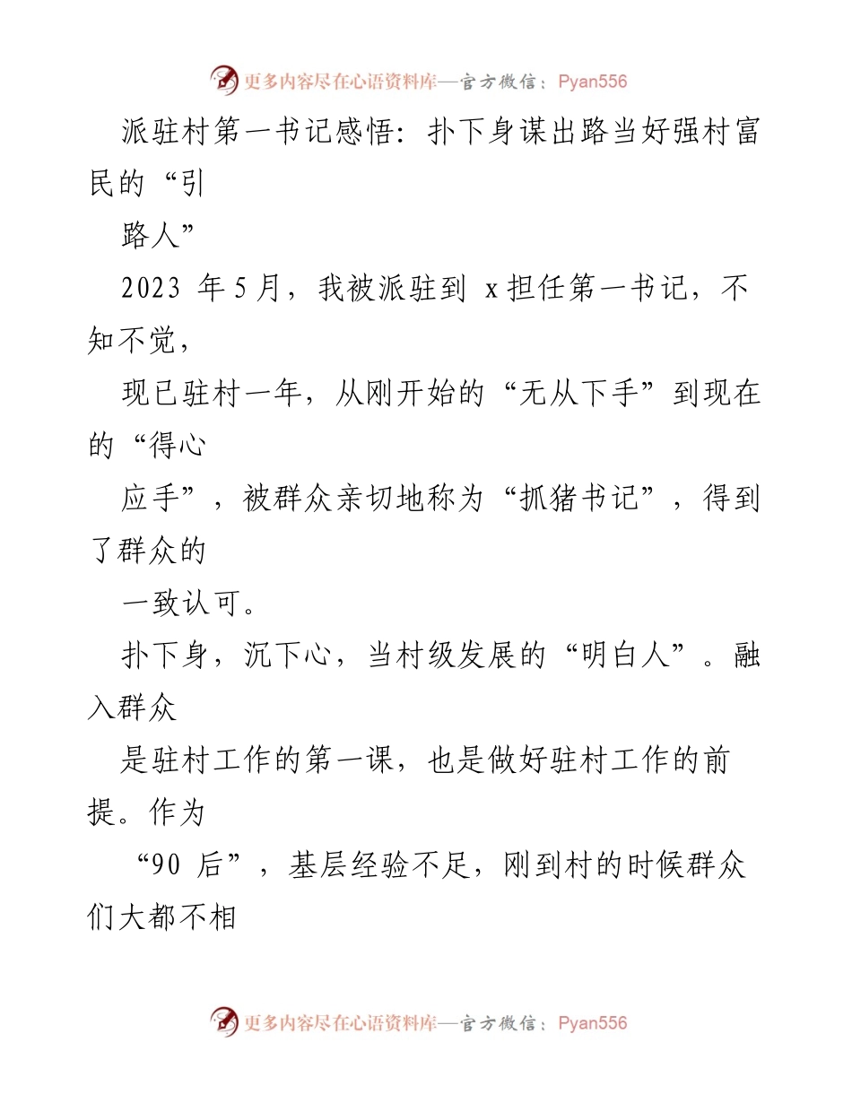 [发言] 村级发展交流会 - 派驻村第一书记的实践与思考：引领乡村振兴的责任与担当.docx_第1页