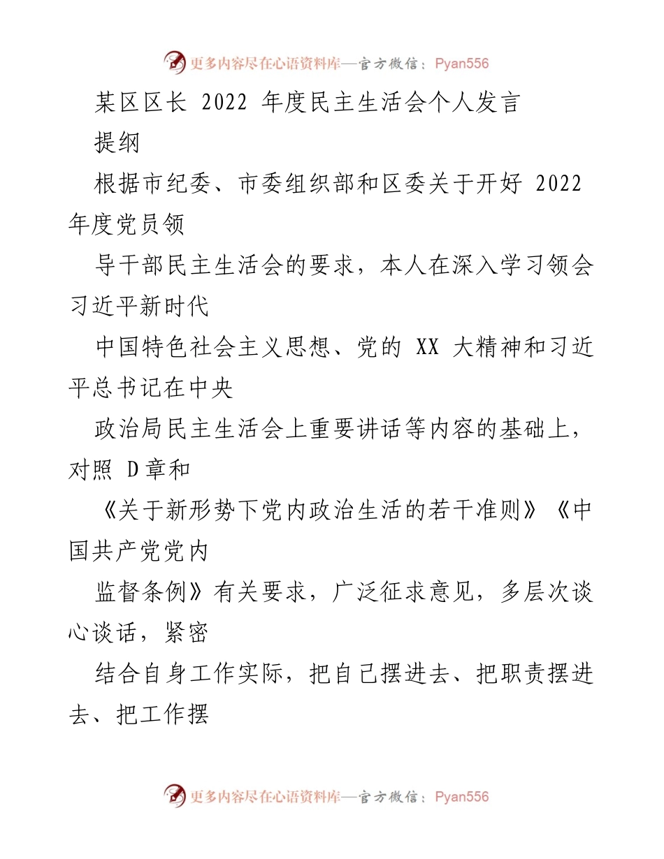 [发言] 民主生活会 - 2022年度区长民主生活会个人发言总结.docx_第1页