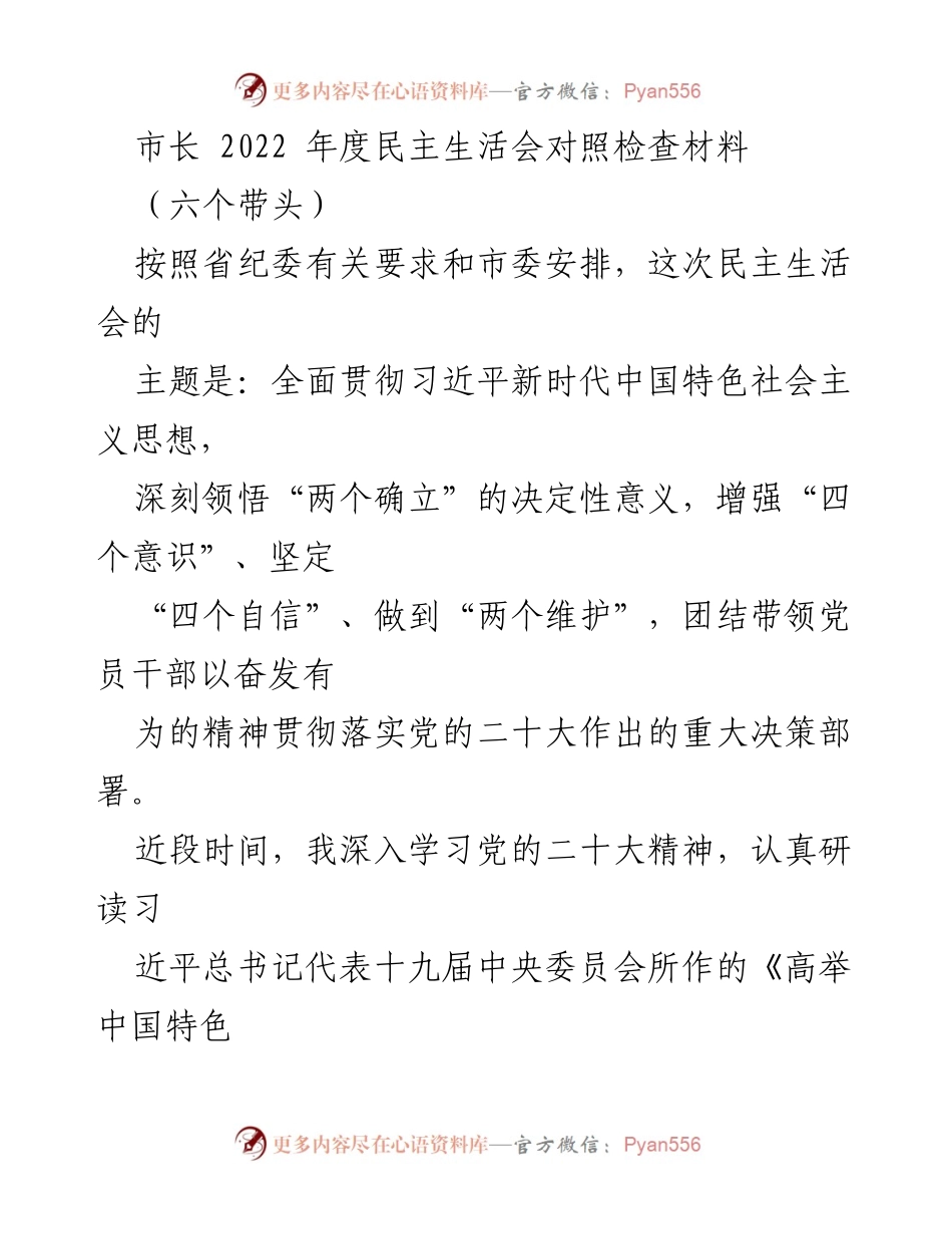 [发言] 民主生活会 - 市长2022年度民主生活会对照检查材料.docx_第1页