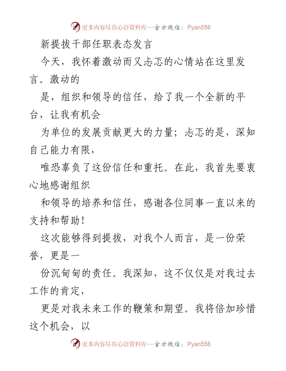 [发言] 新提拔干部任职 - 新任干部表态发言：承诺与责任.docx_第1页