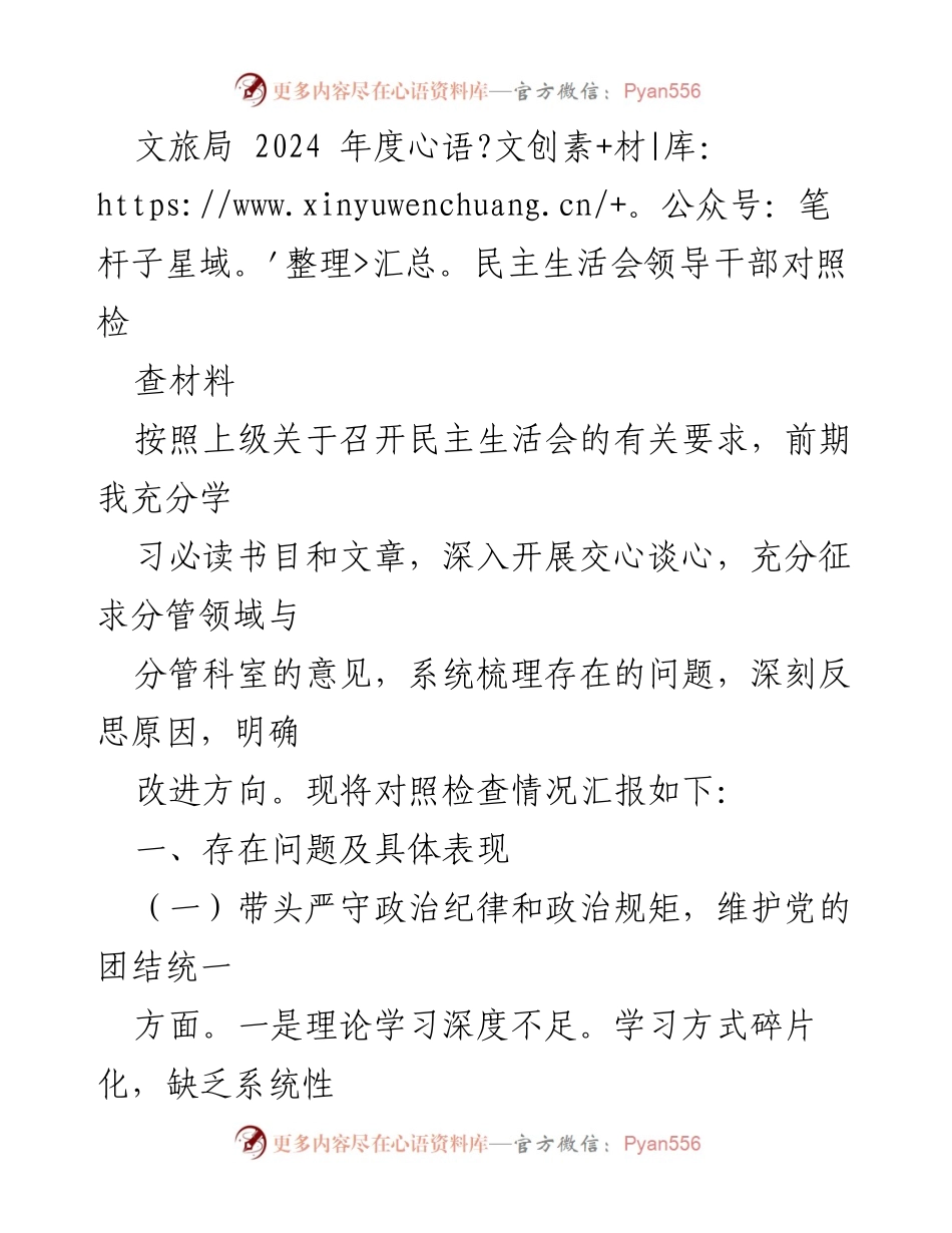 [发言] 民主生活会 - 2024年度领导干部对照检查材料总结.docx_第1页