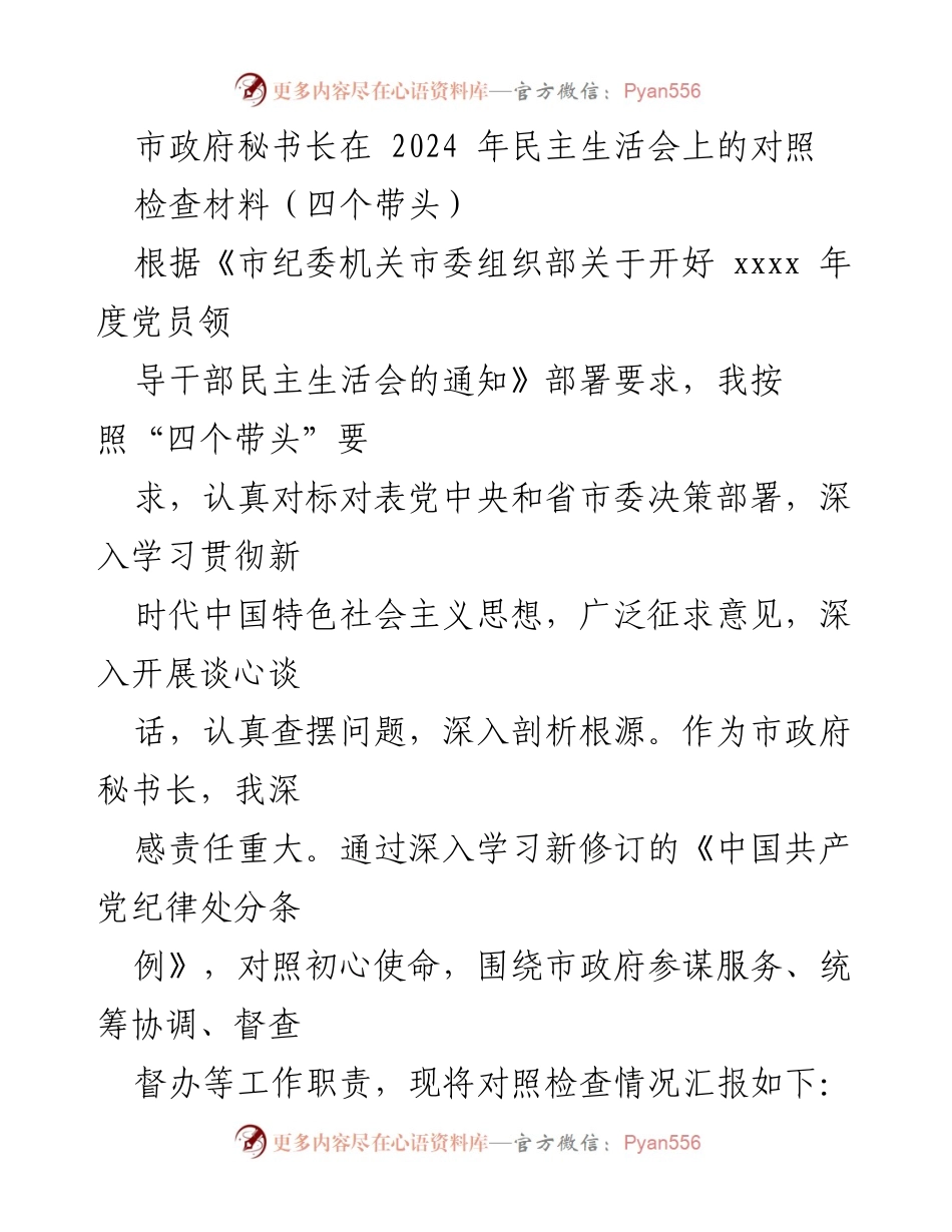 [发言] 民主生活会 - 市政府秘书长在2024年民主生活会上的对照检查材料.docx_第1页