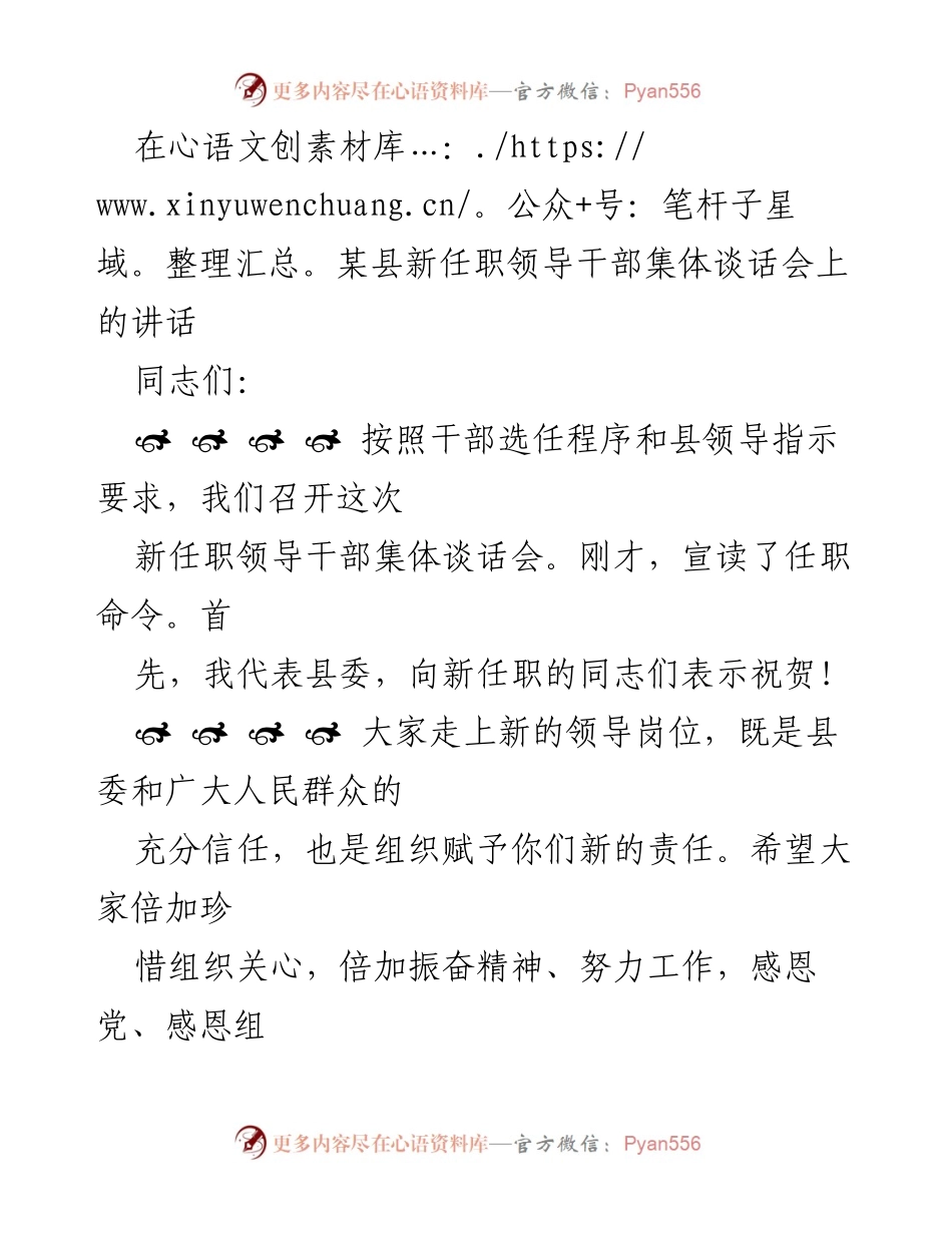[发言] 新任职领导干部集体谈话会 - 新任职干部的责任与担当.docx_第1页