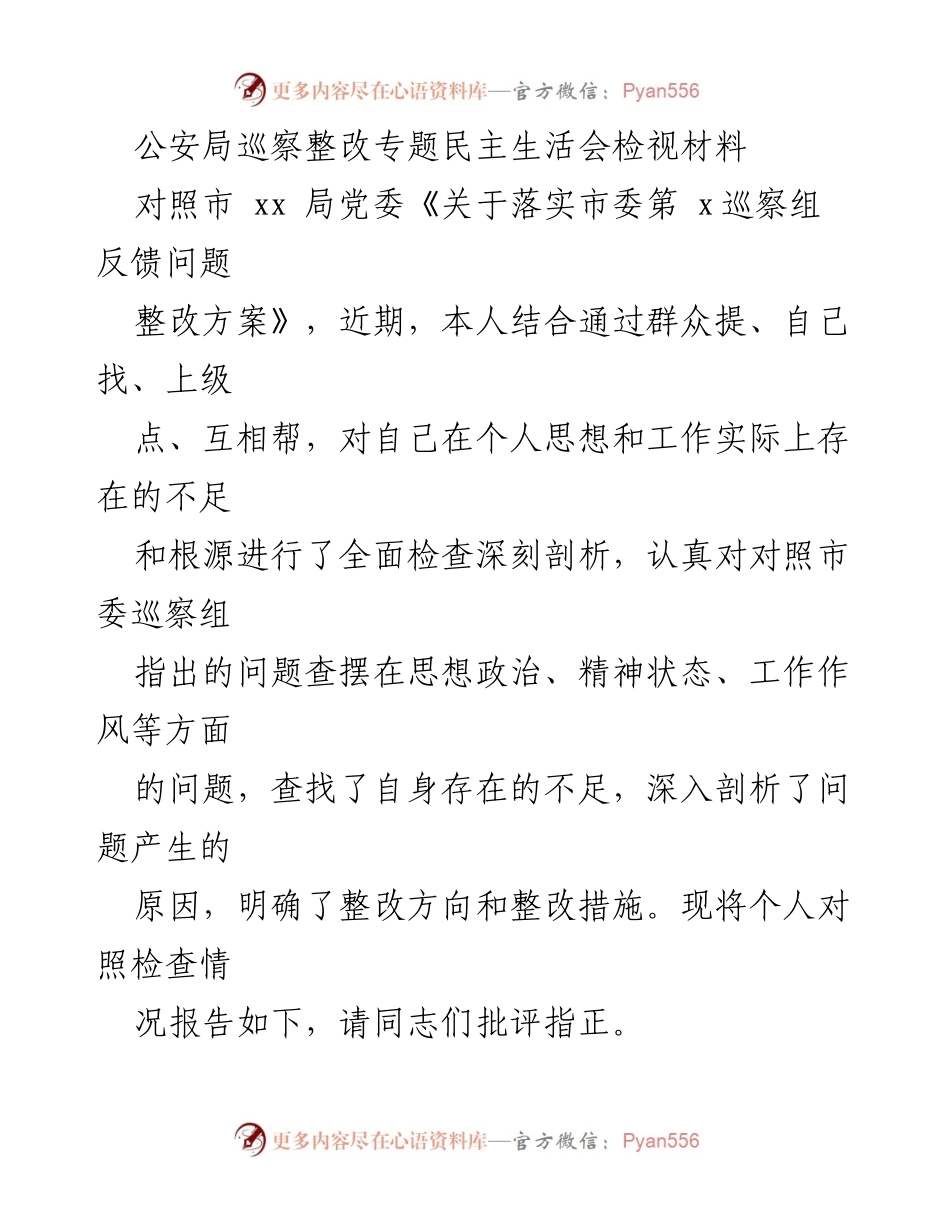 [发言] 民主生活会 - 公安局巡察整改专题民主生活会个人检视材料.docx_第1页